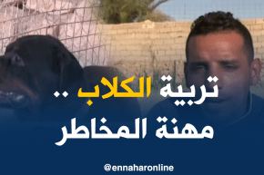 غرداية: ترويض الكلاب…فكرة فريدة محفوفة بالمخاطر
