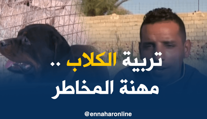 غرداية: ترويض الكلاب…فكرة فريدة محفوفة بالمخاطر
