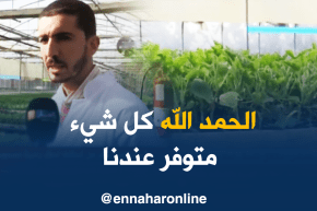 سيدي بلعباس : مشاتل خاصة …نماذج إستثمارية ناجحة لمرافقة الفلاحين