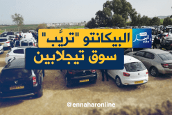 الـ picanto…أخسر وفارق في تيجلابين !!