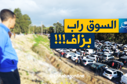 الـSymbol بـ165مليون والـStepway بـ193مليون بسوق تيجلابين!!