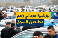 هكذا كانت أسعار السيارات المستعملة بسوق القليعة اليوم الثلاثاء