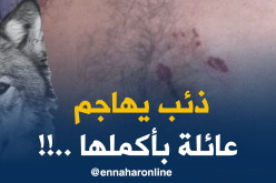 ذئب يزرع الرّعب بقرية أولاد عبدلي ويهاجم عائلة !!