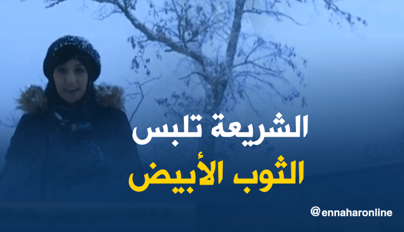بالفيديو الشريعة تلبس الثوب الأبيض
