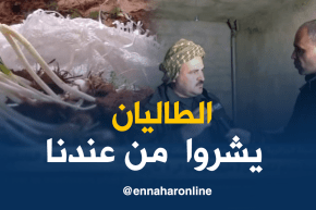صريح جدا :البصل البري ..”البصيلة الجزائرية ” تتحول إلى مصدر رزق المئات من العائلات بتيارت