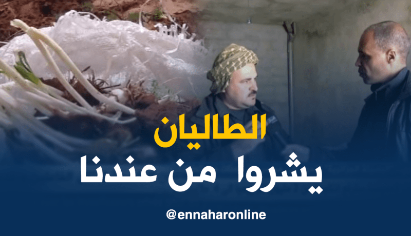 صريح جدا :البصل البري ..”البصيلة الجزائرية ” تتحول إلى مصدر رزق المئات من العائلات بتيارت