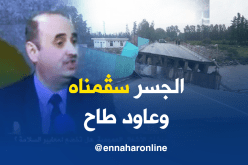 مستشار وزارة الأشغال العمومية يكشف سبب سقوط جسر الشفة !!