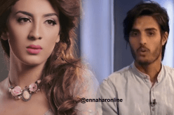 اعتمدت على البساطة في إخراج كليب “سهيلة بن لشهب”