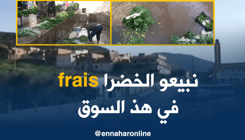 سوق “كريشتال” يعرض خضرا بجودة عالية