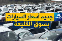 بالفيديو.. أسعار جنونية للسيارات بسوق القليعة اليوم الثلاثاء