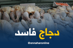 حجز 150 كلغ من الدجاج الفاسد في الطارف