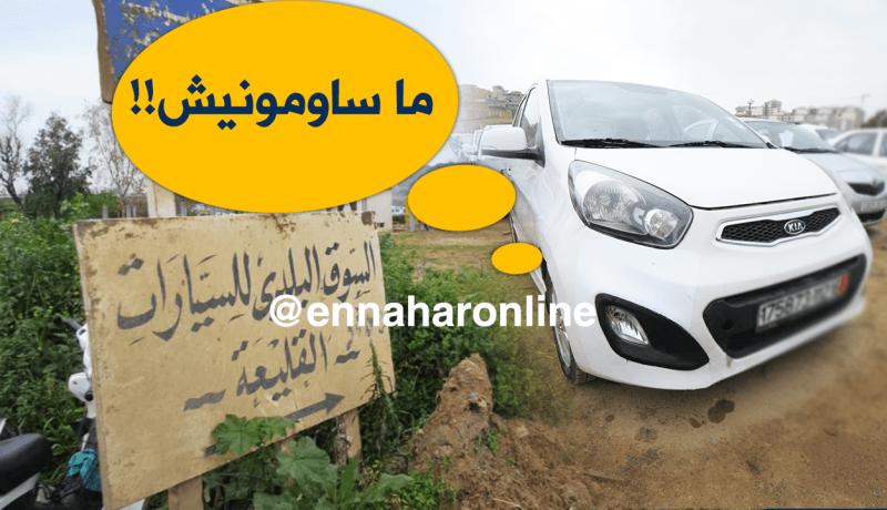 بعد تخفيض سعرها .. هذا مصير “البيكانتو” في سوق القليعة !!