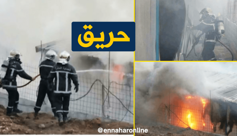 نشوب حريق مهول في قاعدة الحياة ببجاية