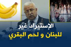 بالفيديو… هذه هي المواد الممنوعة من الإستيراد