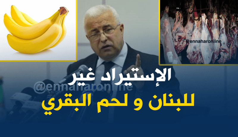 بالفيديو… هذه هي المواد الممنوعة من الإستيراد