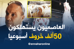 خياطي: العاصميون يستهلكون 7 آلاف خروف يوميا