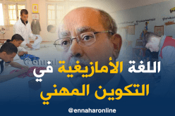 إدراج اللغة الأمازيغية في قطاع التكوين المهني