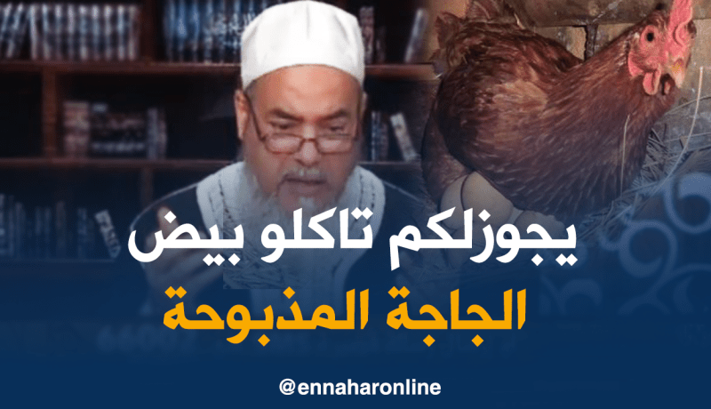 الشيخ شمس الدين: يجوز أكل البيض الموجود في الدجاجة بعد ذبحها