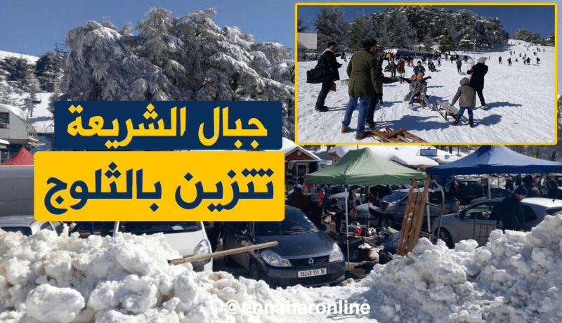 عائلات تستمتع بالأجواء الثلجية في عز الربيع