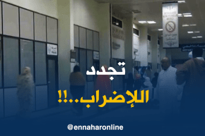 غرداية/ مسيرو إقامات سياحية..تجدد الإضراب بالجوية الجزائرية تضر بنا