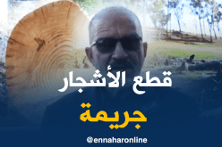 تلمسان/ غابة “سيدي محمد الواسيني” بمغنية تتعرض لمجزرة