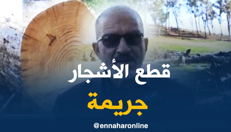 تلمسان/ غابة “سيدي محمد الواسيني” بمغنية تتعرض لمجزرة