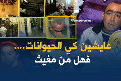 عائلة ساردي: نعيش في كوخ مع الحيوانات.. فهل من مغيث ؟