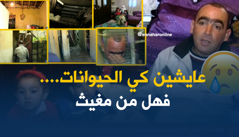 عائلة ساردي: نعيش في كوخ مع الحيوانات.. فهل من مغيث ؟