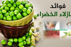 10 فوائد لـ “الجلبانة” ستجعلك تتناولها يوميا