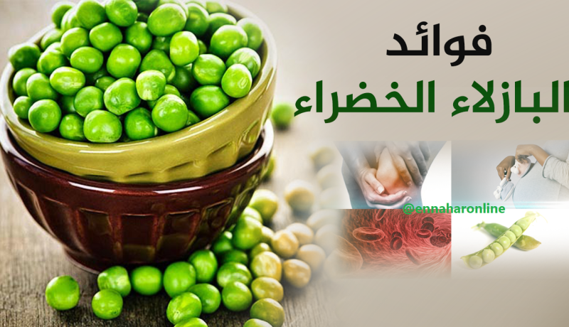 10 فوائد لـ “الجلبانة” ستجعلك تتناولها يوميا
