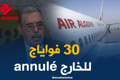 مستشار المدير العام للجوية الجزائرية.. 30 رحلة دولية ألغيت بسبب الإضراب