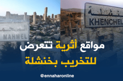عمليات نهب وتهريب الآثار ببلدية المحمل في خنشلة