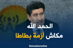 شريف عوماري: لا يوجد أزمة “بطاطا” لأنه اتخذت د تدابير الضبط في وقتها