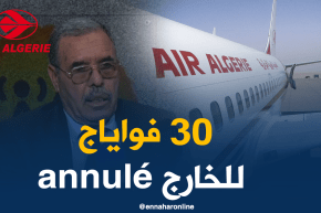 مستشار المدير العام للجوية الجزائرية.. 30 رحلة دولية ألغيت بسبب الإضراب