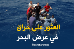 صيادون في مستغانم ينقذون “حراڨا”