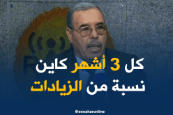 مستشار المدير العام للجوية الجزائرية: “مطالب المضيفين هي الزيادات في الأجور..!”