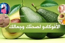 “الأفوكادو”… يحمي الجسم من السرطانات