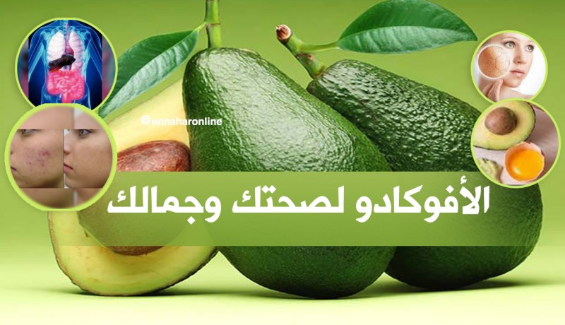“الأفوكادو”… يحمي الجسم من السرطانات