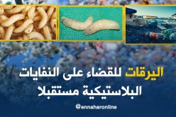 اليرقات للقضاء على النفايات البلاستيكية مستقبلا