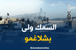 السمك لمن استطاع إليه سبيلا في سكيكدة
