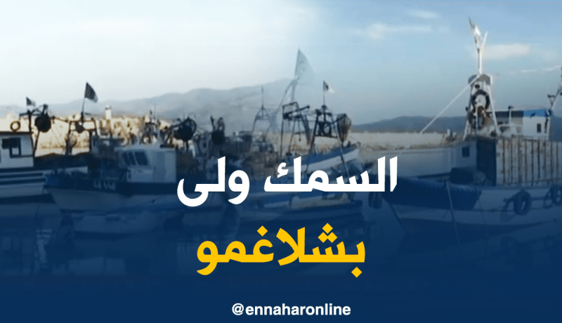 السمك لمن استطاع إليه سبيلا في سكيكدة