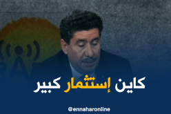 شريف عوماري: يوجد مشاريع جسدت على أرض الميدان في الجنوب