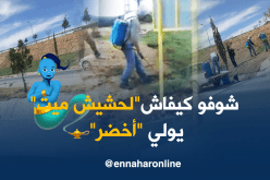 بالفيديو..حشيش “صفر” يرجع “أخضر” في ثواني بباتنة !!