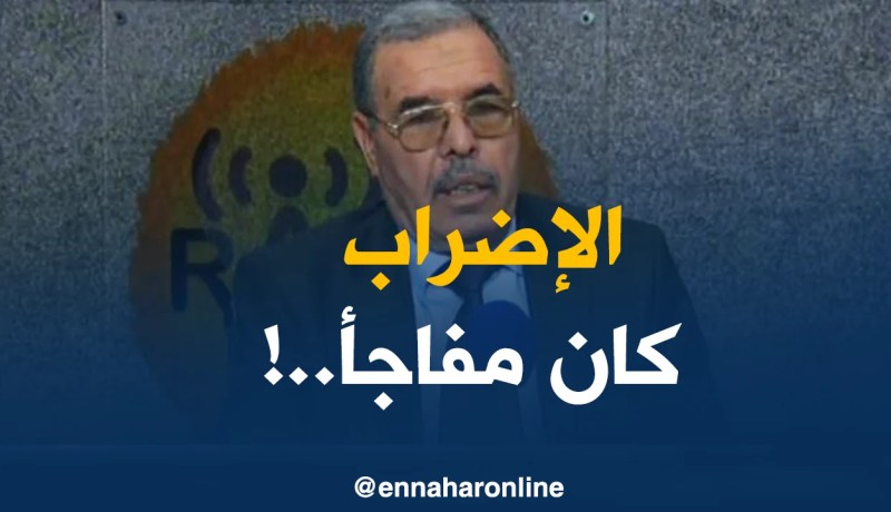 مستشار المدير العام للجوية الجزائرية : كوّنا خلية أزمة لتقليص من معاناة المسافرين