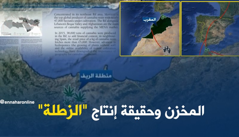تقرير جديد يفضح نظام “الزطلة”