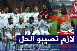 مدرب النيجر يصف مواجهة الخضر بالمشكلة