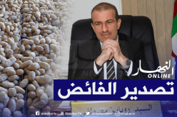 تصدير 200 ألف طن من البطاطا والخضر نحو ليبيا بداية من الأسبوع المقبل