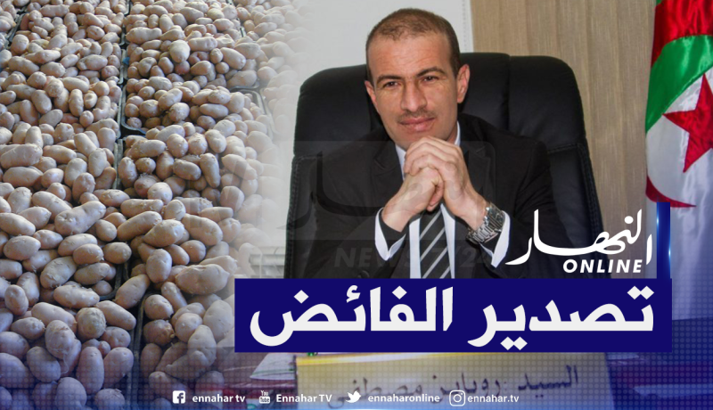 تصدير 200 ألف طن من البطاطا والخضر نحو ليبيا بداية من الأسبوع المقبل