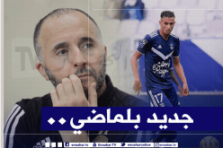 بلماضي: “زرقان لديه مستقبل واعد واختيار الجزائر من دون نقاش” !
