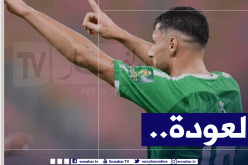 في خرجة غير متوقعة.. “بلايلي” يريد مواصلة اللعب في “الأهلي السعودي” !